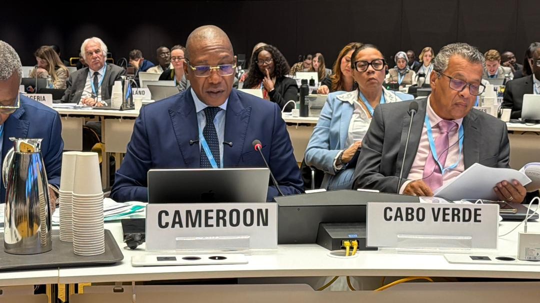 At WHO Executive Board: Cameroon Advocates for Inclusive, Equitable, People-Centered Health